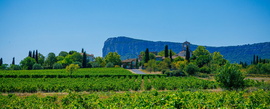 Herault landscape, Pic Saint Loup in France- Occitanie region