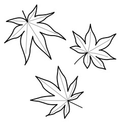 紅葉の落ち葉イラストセット　線画