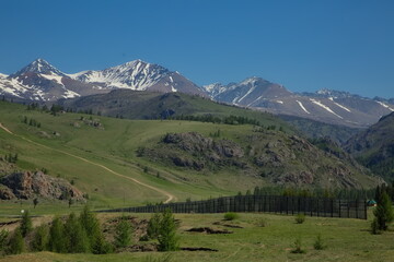 Obraz premium Summer landscapes of the Altai Mountains.