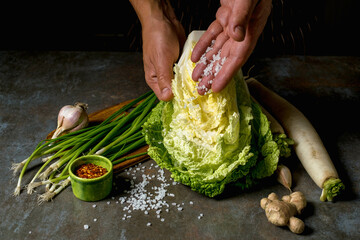 Ingredients for kimchi. Fresh vegetables, traditional Korean food in top view on wooden table copy space.