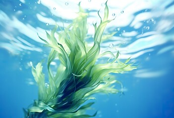 Fototapeta na wymiar Green Seaweed underwater with sunlight.
