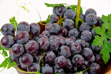 Purple grape Kyoho Grape with leaves on white background