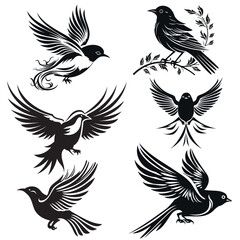 set of bird silhouette. Isolated vector on a white background