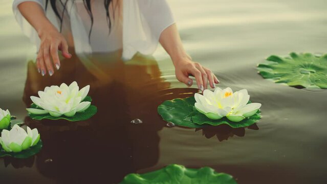 female closeup hand gently stroking touching plant water lily white flowers green leaves float. Sexy girl enjoy summer nature standing in lake, boho wet white dress. fantasy woman fairy river nymph 4k