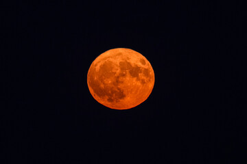 Night photo with a bloody red moon sunrise called also sturgeon moon. Moon astronology image. - obrazy, fototapety, plakaty