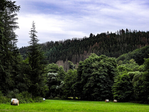 Landscape's in the beautifull nature