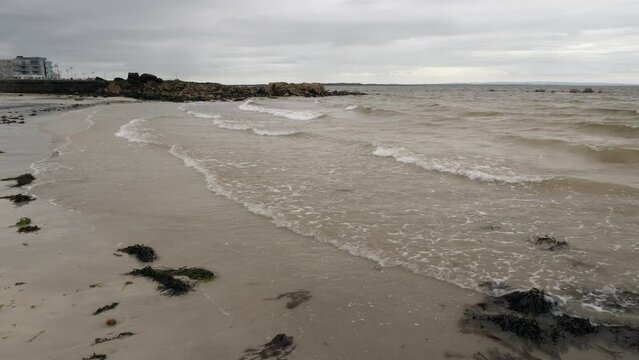 Static view of ladies beach with kelp washing ashore in gentle waves, galway ireland