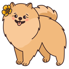 Pomeranian spitz with yellow flower. Funny animal in kawaii style