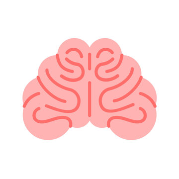 Human brain organ icon vector illustration design, mind flat icon design, front view