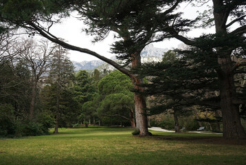 Well-groomed old park against the backdrop of mountains