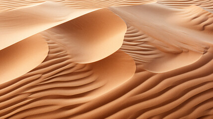 Fototapeta na wymiar Sahara Desert Dunes At Sunset Backdrop
