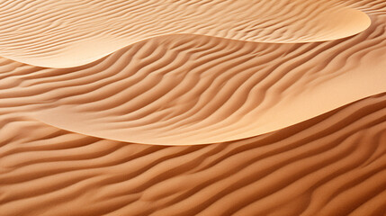 Fototapeta na wymiar Camel Silhouette on Sahara Desert Sunset Horizon