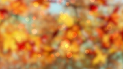 abstract autumn background with colorful bokeh light animation, bright blurred trees with fall leaf colors, beautiful outdoors concept with space for text or product presentation
