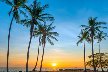 Sunset with palm trees on beach