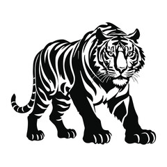 Fototapeta na wymiar Tiger isolated on white