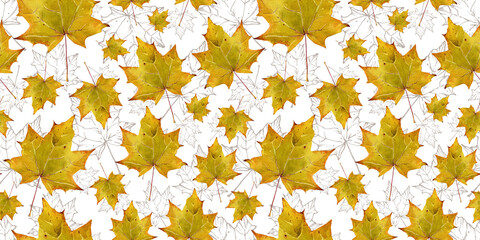 Forest pattern from autumn dry leaves. Maple Leaf. Watercolor illustration for design of textiles, covers, ceramics. White background.