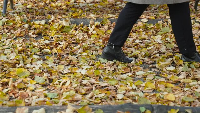 Women legs in stylish black boots slowly and calmly walk along path covered with yellow autumn leaves. Side view of uncleaned territory of city park in early cool morning during walk to place of work.