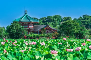 Foto op Plexiglas 夏の上野恩賜公園　弁天堂と蓮の花々【東京都・台東区】 © Naokita