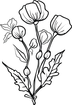 Set of plants silhouettes. Images of chamomiles, cosmos flowers, lavenders, poppies, daffodils, tulips, irises, meadow herbs. Detailed images isolated black on white background. Vector design elements
