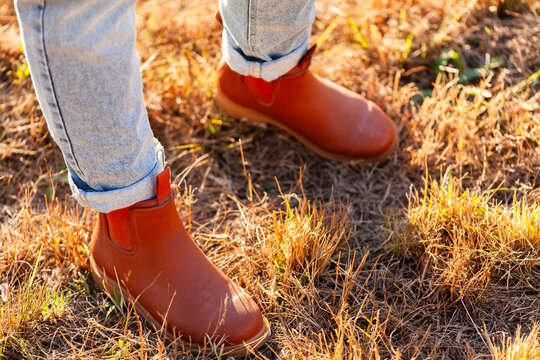 Brown slip on gumboots in sunlit paddock of grass cropped short by cattle