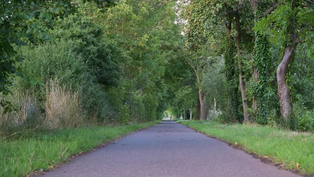 Landscape with a bicycle path or sidewalk at the river Moselle in Trier, rhineland palatine in Germany, summer at the valley
