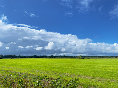 Typical Dutch cloudy sky. White clouds on a clear blue sky above a green meadow.