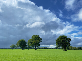 Fototapeta na wymiar Typical Dutch cloudy sky. White clouds on a clear blue sky above a green meadow.