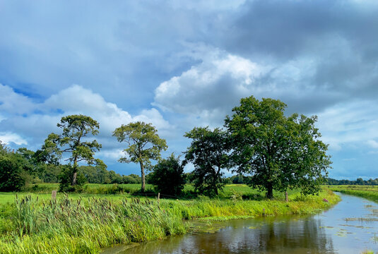 Typical Dutch cloudy sky. White clouds on a clear blue sky above a green meadow.