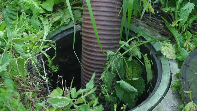the hose of the pumping machine pumps out sewage and sewage from the open manhole. pump for pumping feces from the drain pit
