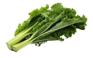 Isolated Kale on White Background, Generative Ai