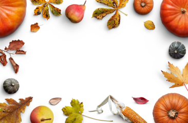 A collection of pumpkins, fruits, dried leaves and corn cobs forming a border, frame, layout isolated against a transparent background for thanksgiving fall and harvest festivals.
