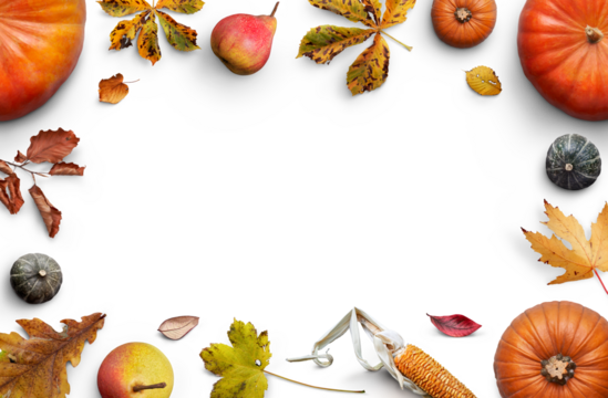 A collection of pumpkins, fruits, dried leaves and corn cobs forming a border, frame, layout isolated against a transparent background for thanksgiving fall and harvest festivals.