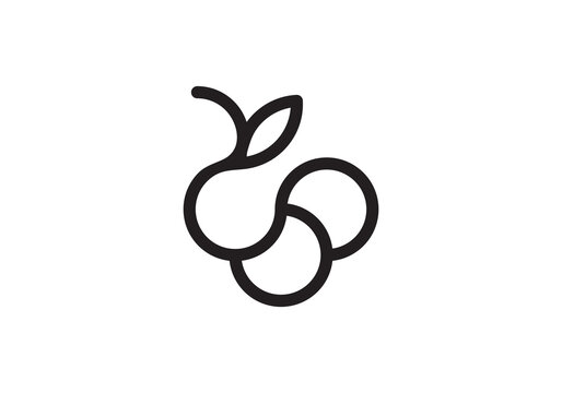 modern grape logo design vector