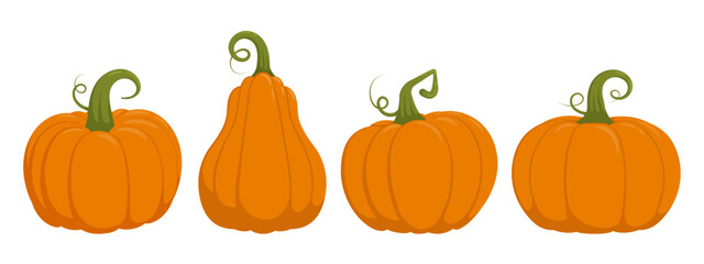 Autumn harvest cartoon pumpkin illustration set
