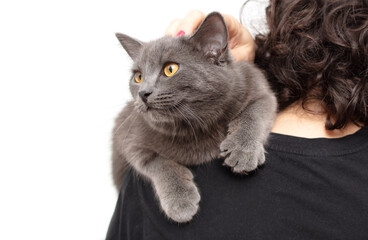 Portrait of a cat on the shoulder of a woman isolated on white background