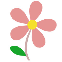 flower of a flower isolated