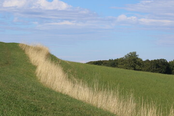 Fototapeta na wymiar path in the field with beautiful landscape 