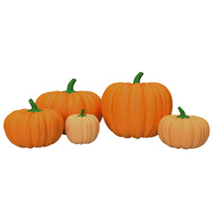 The pumpkin for Thanksgiving day concept