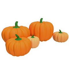 The pumpkin for Thanksgiving day concept