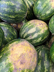 A lot of watermelons in the supermarket, top view