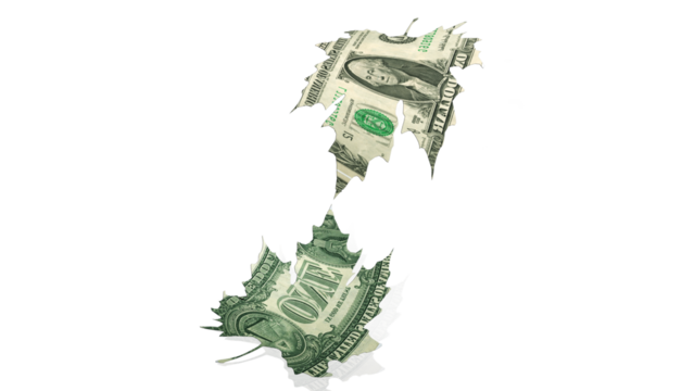 dollars money fallng like leaves in autumn win sales rich walth