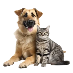Foto op Plexiglas happy dog and cat isolated on transparent background © PawsomeStocks