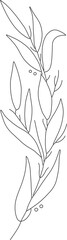 Simple hand-drawn vector drawing in black outline. Young larch tree, branch isolated on white background. Coniferous branch. Graphic design elements.