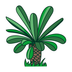 Illustration of a small, low palm tree, an ancient plant, vector icon