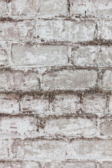 brick white dirty wall background