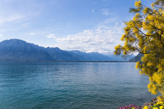 Mountains And Lake Geneva