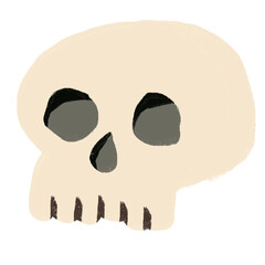 Skull