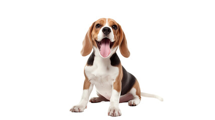 A joyful and amusing Beagle dog is enjoying itself in a solitary setting without any distractions, on a white background. - Powered by Adobe