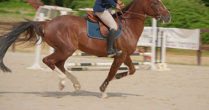 Cinematic slow motion close up of young female horsemanship master dressed in a professional apparel is practising exercises for competition of horse racing. Show jumping horse