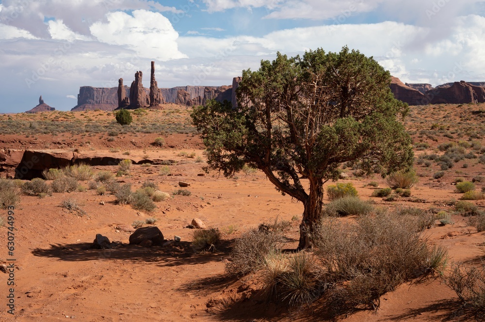 Sticker Aerial view of desert landscape with rock formations